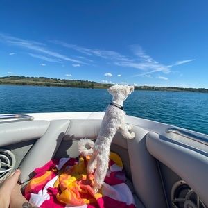 Meet your Posher, Elise